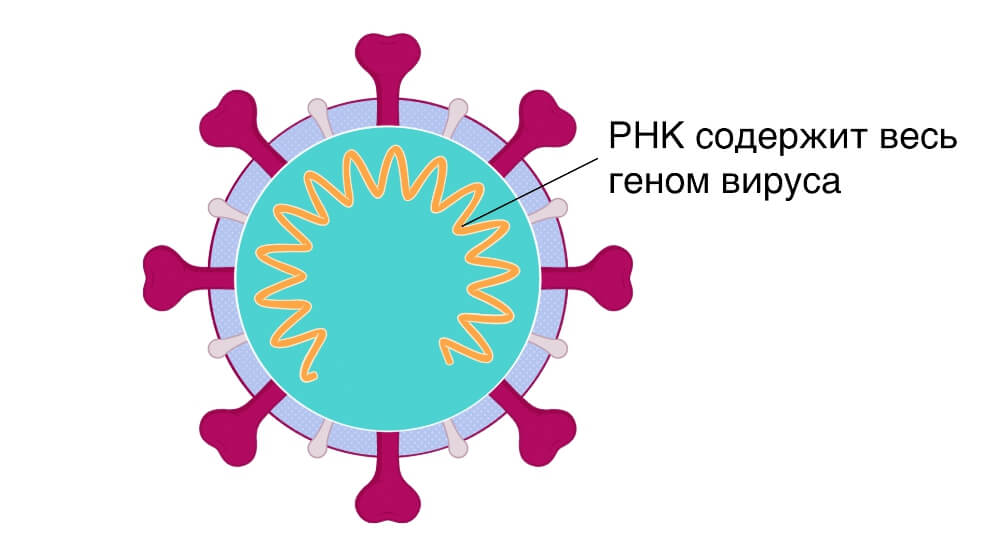 Блэкспрут конец