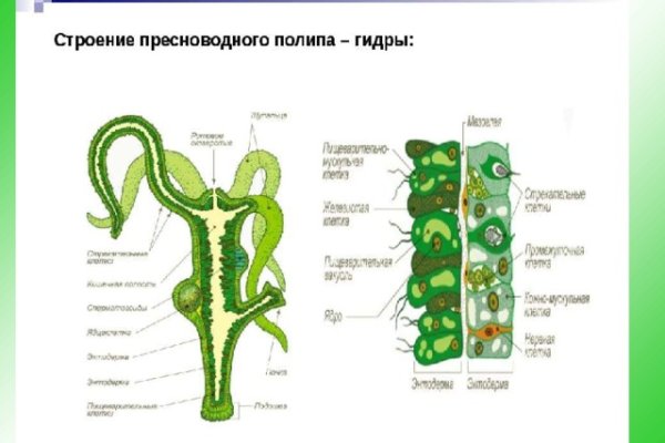 Сайт омг магазин закладок