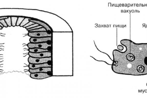 Кракен адрес